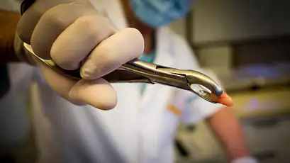 What is the current state of dental care in other countries?